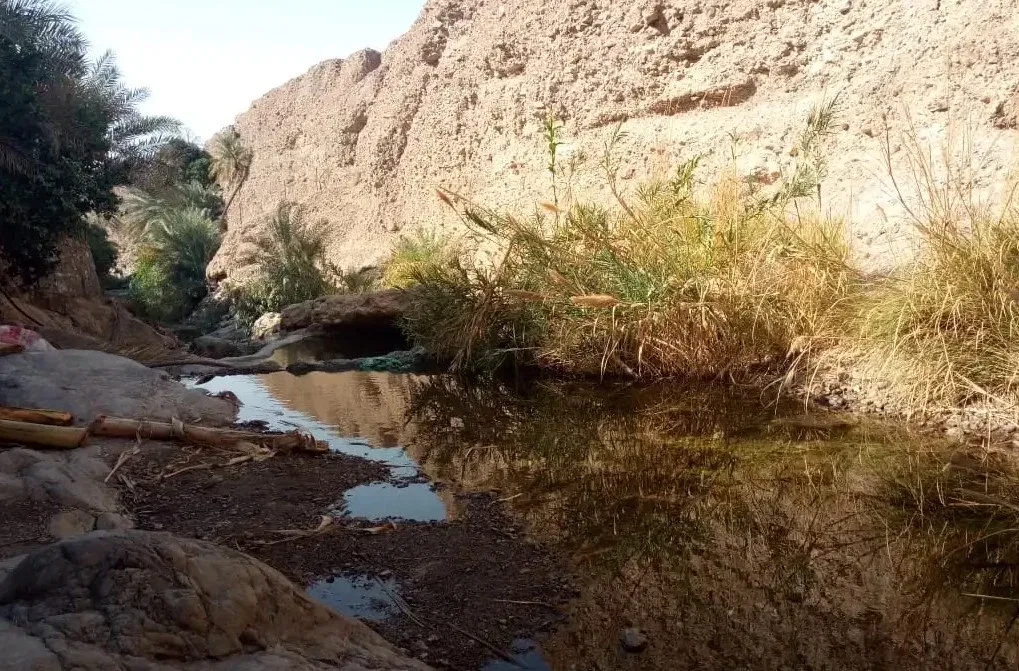 Wadi Abadilah (Fujairah)