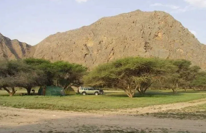 5. Acacia Forest A Hidden Green Oasis