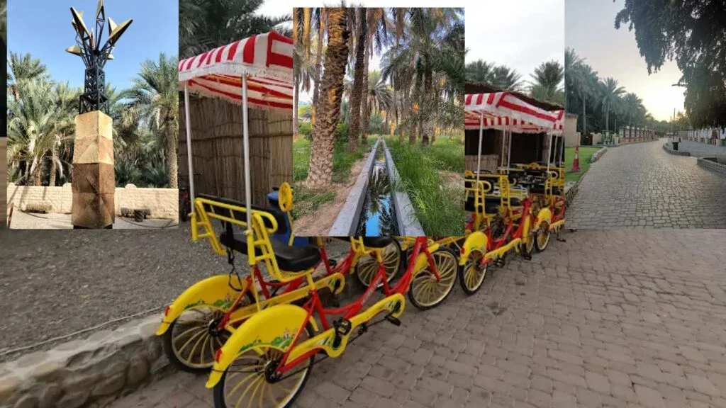 al ain oasis