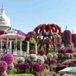 Dubai Attractions Offering Free 2026