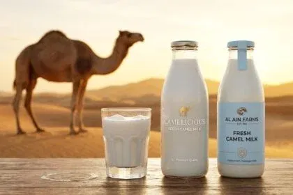 best camel milk brands UAE