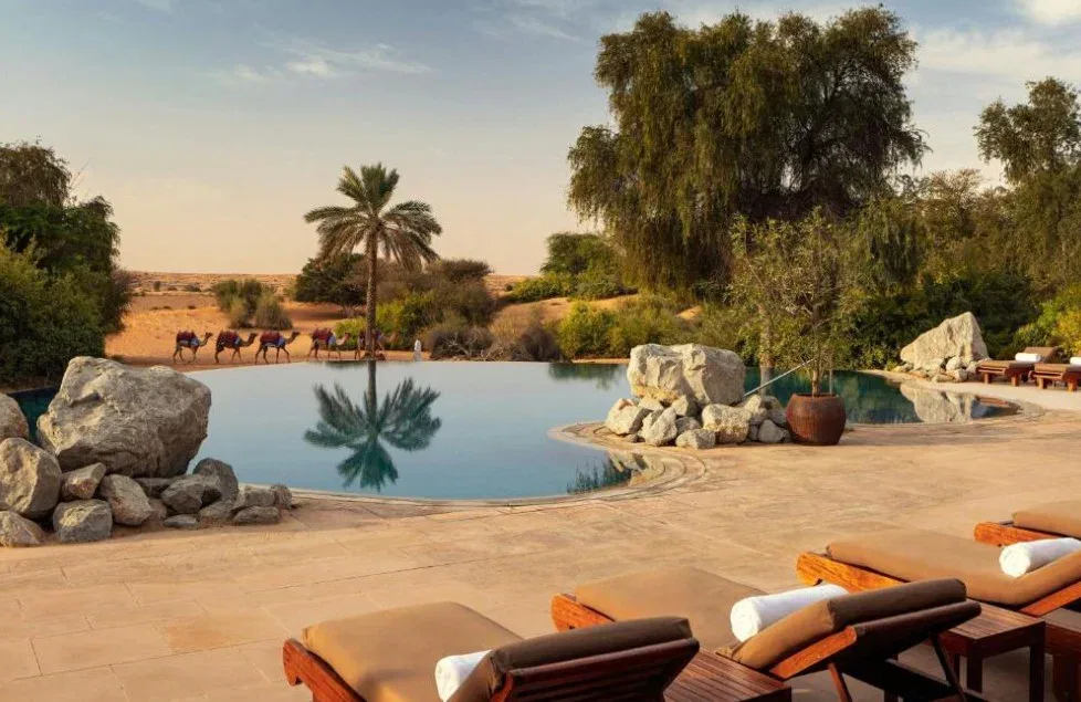 2. Do the Desert Safari You've Been Postponing