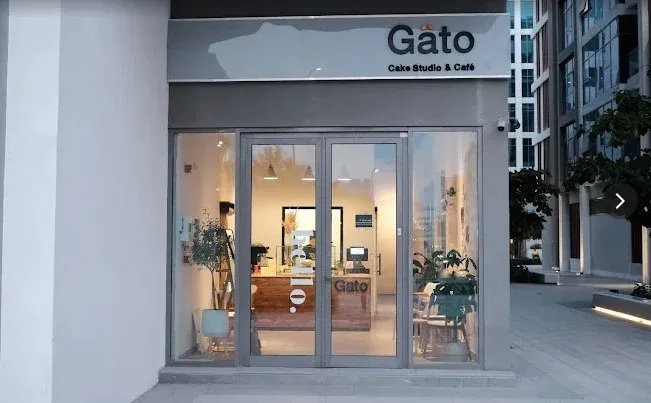Gato