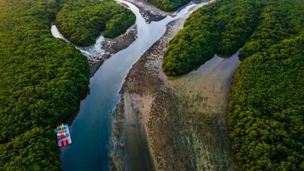 Al Zorah Nature Reserve