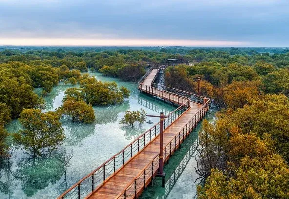 Jubail Mangrove Park