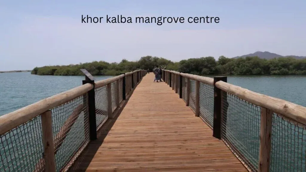 khor kalba mangrove centre