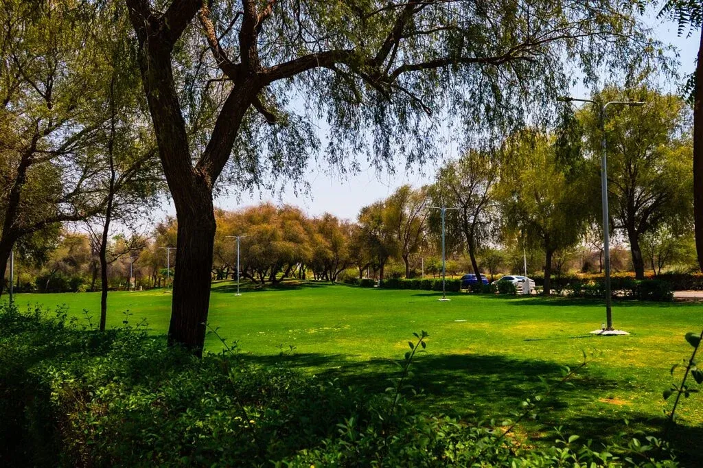 22. Mushrif Park