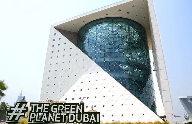 26. The Green Planet A Rainforest in the Desert