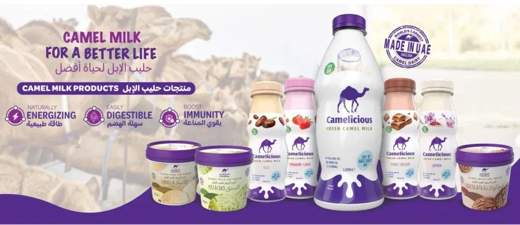 01. Camelicious DUBAI · WORLD LEADER