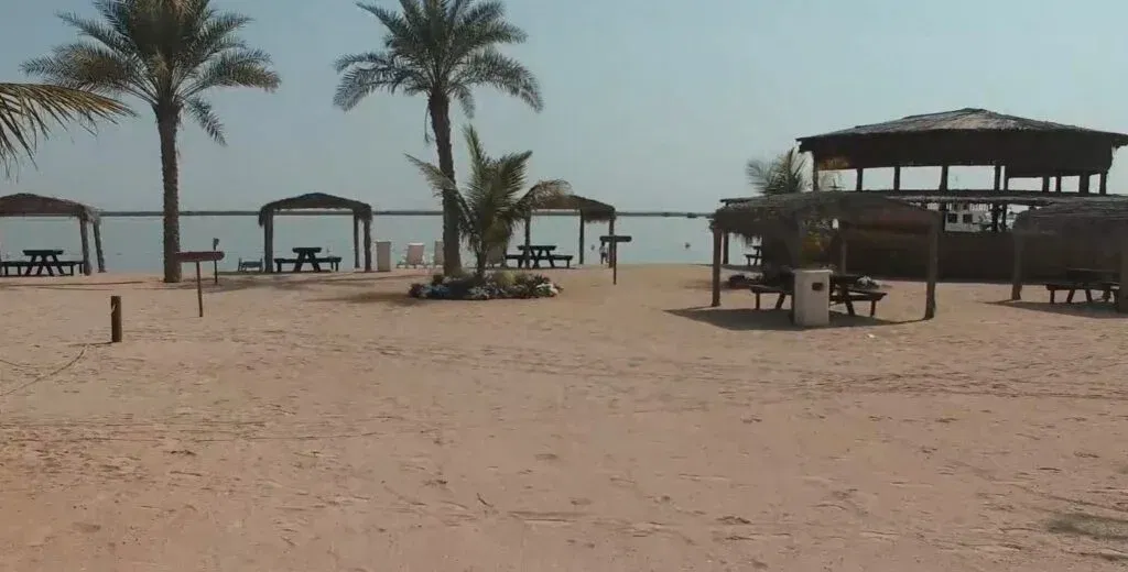 The Mangroves & Marine Club