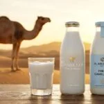 best camel milk brands UAE
