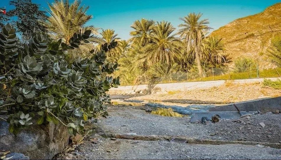 The Secret Oasis Wadi Asimah