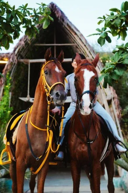 The activities at Casa Mikoko image