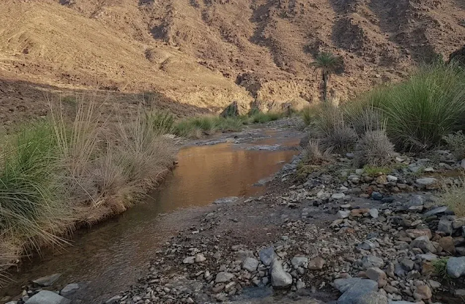 Wadi Al Lyat